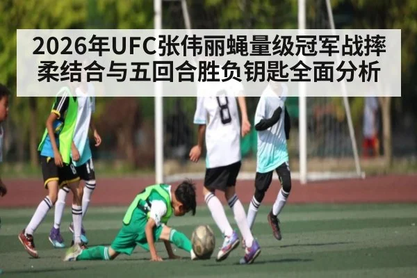 2026年UFC张伟丽蝇量级冠军战摔柔结合与五回合胜负钥匙全面分析